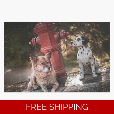 Le Studio Jigsaw Puzzle Rush Signals Statue 2 Dogs